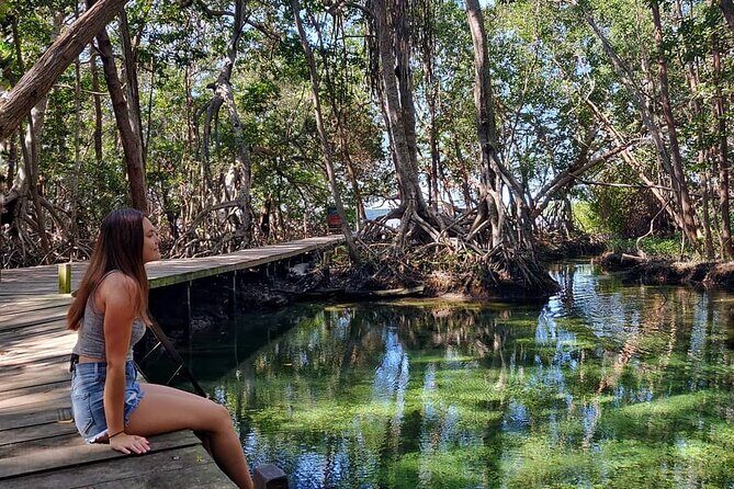 Celestun Beach and Mangrove Boat Ride from Merida - Good To Know