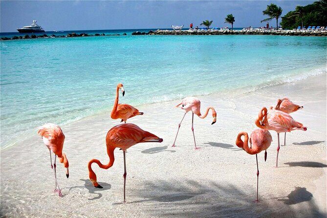 Celestun Beach and Mangrove Boat Ride from Merida - Who Would Love This Tour?