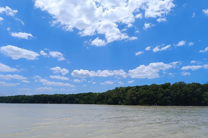 Celestun Beach and Mangrove Boat Ride from Merida - FAQ