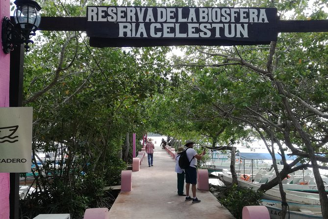 Celestun Biosphere Reserve Tour From Merida - Local Cuisine and Refreshments