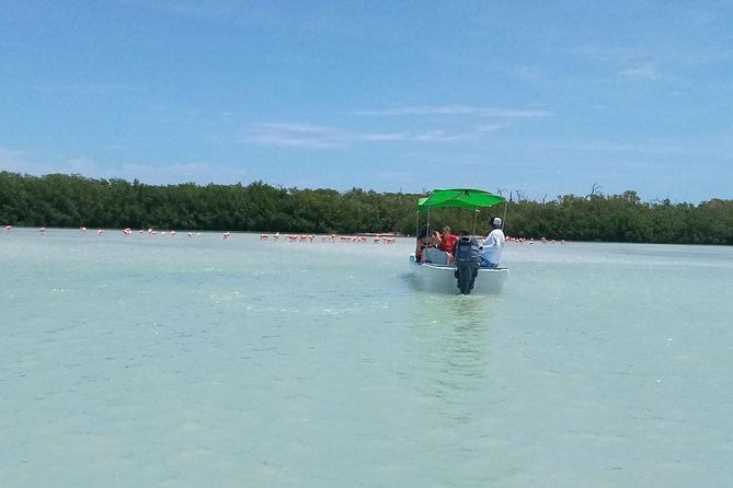 Celestun Biosphere Reserve Tour From Merida - Pricing and Booking Details