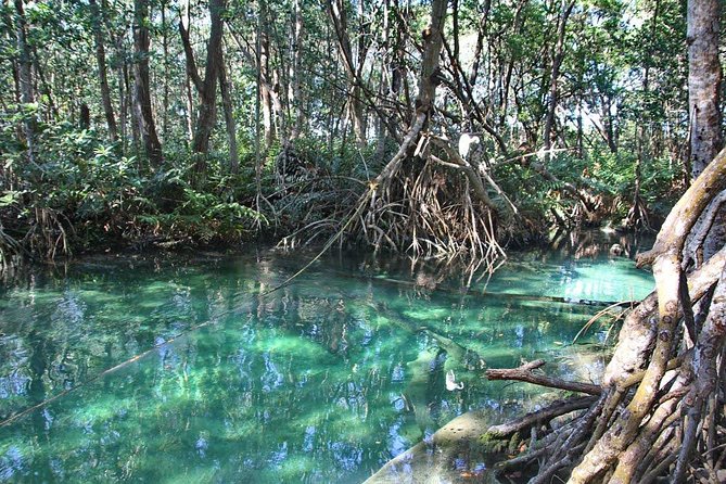 Celestun Biosphere Reserve Tour From Merida - Common Questions