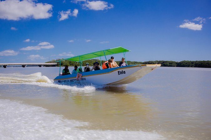 Celestun Flamingos Beach & Seafood Tour departure from Merida - What Travelers Should Know Before Booking