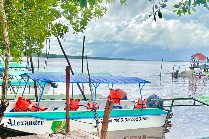 Celestun Flamingos Beach & Seafood Tour departure from Merida - Authentic Experiences and Hidden Gems