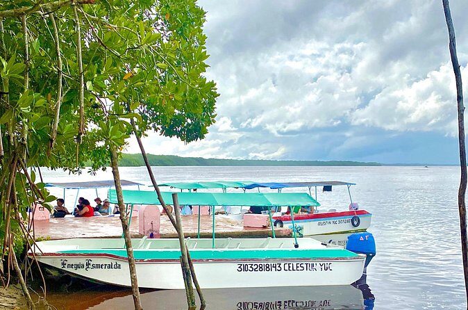 Celestun Flamingos Beach & Seafood Tour departure from Merida - Final Thoughts: Who Will Love This Tour?