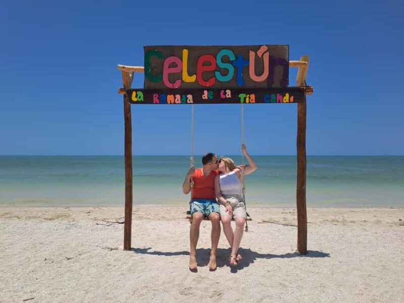 Celestun + Lunch, Boat Ride & beach time. - Good To Know