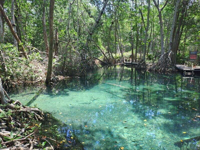 Celestun + Lunch, Boat Ride & beach time. - The Value of This Tour