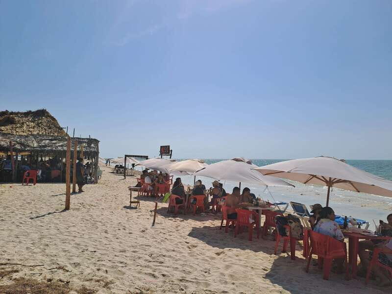 Celestun + Lunch, Boat Ride & beach time. - Practical Tips for Your Visit