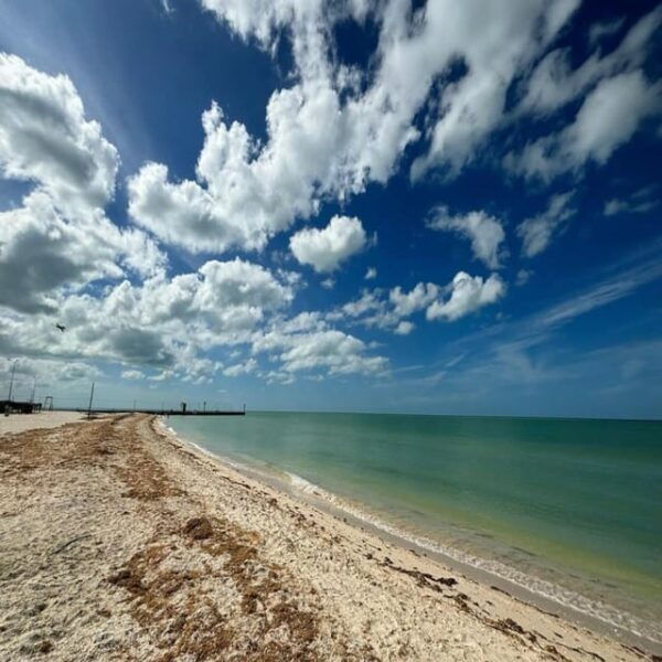 Celestun Mangroves Boat Tour From Merida - What to Bring
