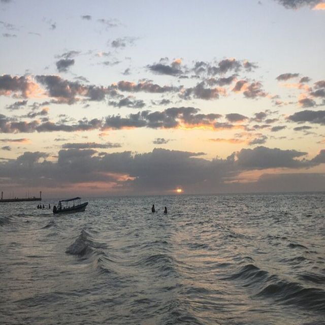 Celestun Mangroves Boat Tour - Activity Details