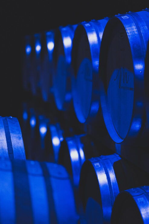 Cellar Delight Tour: Wine & Beer Tasting Adventure - Good To Know
