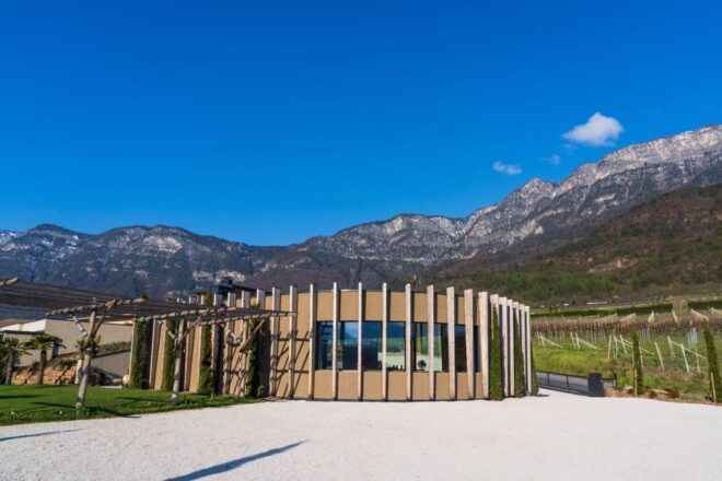 Cellar Delight Tour: Wine & Beer Tasting Adventure - Participant Guidelines