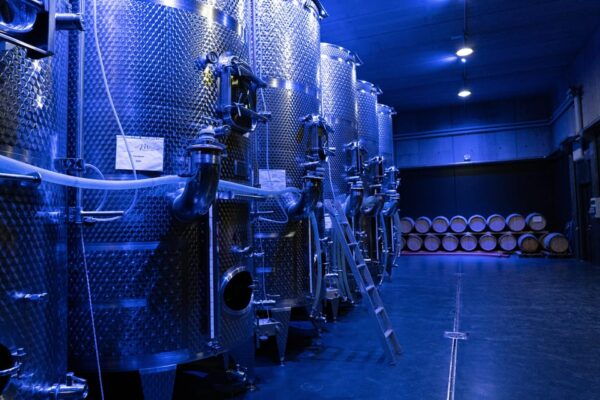 Cellar Delight Tour: Wine & Beer Tasting Adventure - Booking Information