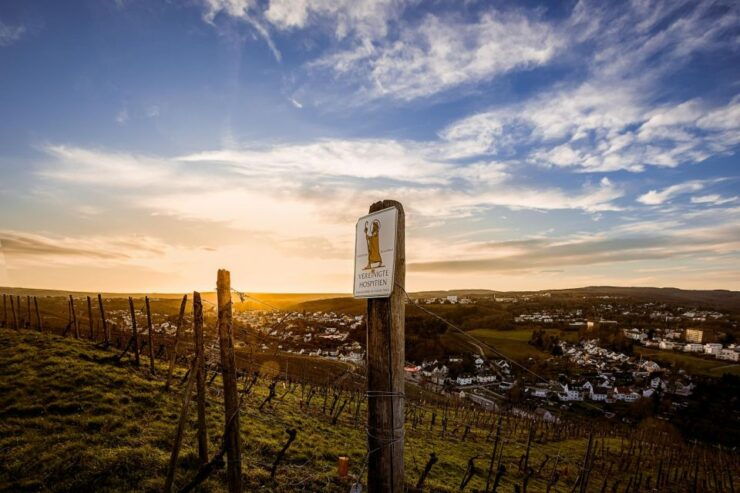 Cellar Explorer Tour 'Oldest Wine Cellar in Germany' - Wine Tasting Experience