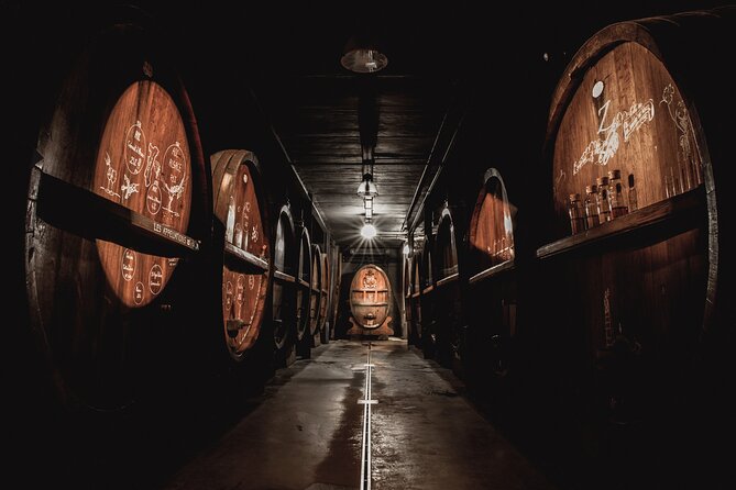 Cellar Visit and Wine Tasting With Vegetarian Meal to Strasbourg - Expectations and Accessibility