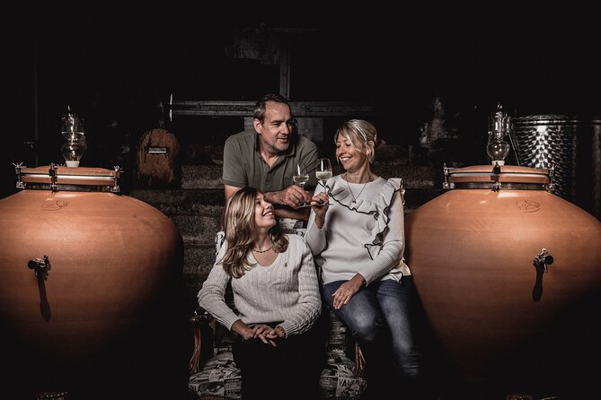 Cellar Visit and Wine Tasting With Vegetarian Meal to Strasbourg - The Sum Up