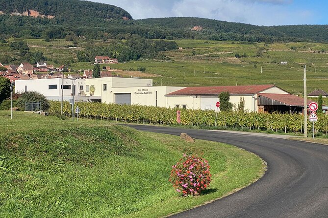 Cellar Visit and Womens Wine Tasting in Gueberschwihr - Visitor Requirements
