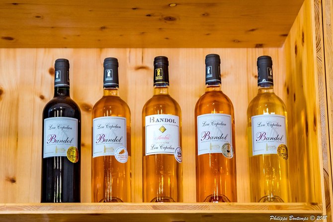 Cellar Visit & Bandol Wine Tasting (in English) - Booking and Participation Details
