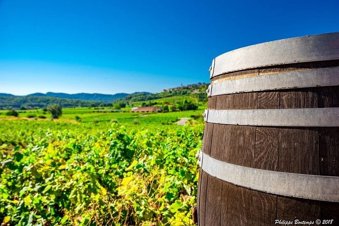 Cellar Visit & Bandol Wine Tasting (in English) - Cancellation Policy