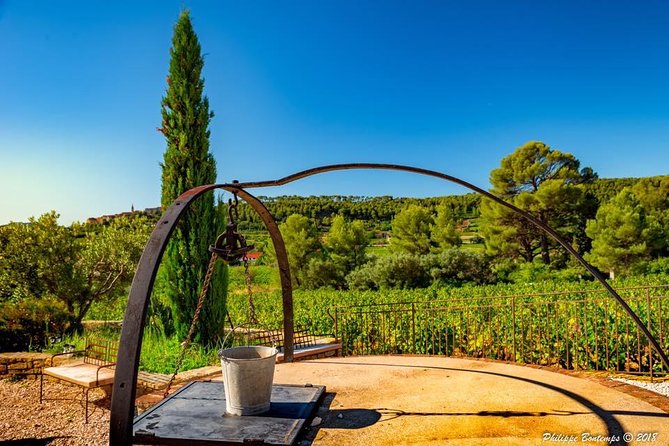 Cellar Visit & Bandol Wine Tasting (in English) - Traveler Photos