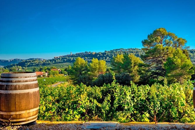 Cellar Visit & Bandol Wine Tasting (in English) - Common Questions