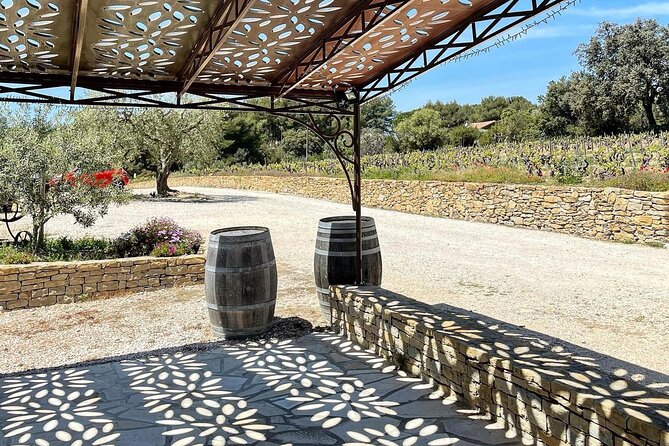 Cellar Visit & Bandol Wine Tasting (in English) - The Sum Up