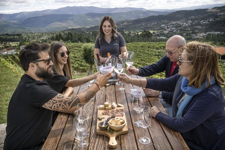 Celorico De Basto: Quinta De Santa Cristina Winery Tour - Activity Details