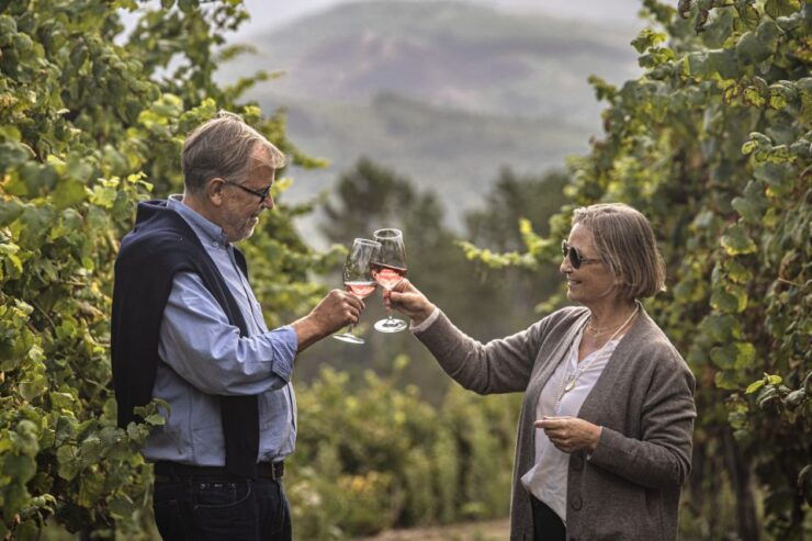Celorico De Basto: Quinta De Santa Cristina Winery Tour - Inclusions