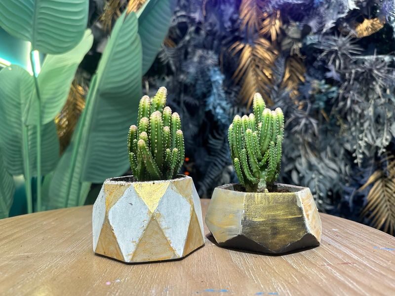 Cement Art Workshop in Hong Kong | Causeway Bay - What to know before you book