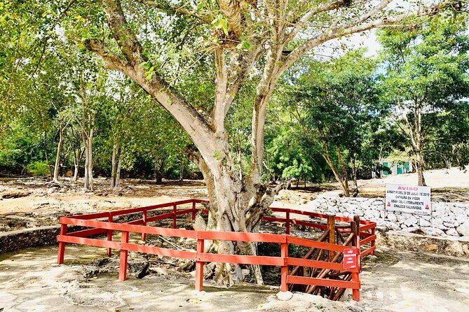 Cenote Adventure Tour - Who Should Consider This Tour?