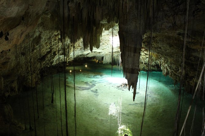 Cenote and Sea Snorkeling Adventure  - Playa Del Carmen - Jungle Cenote Exploration