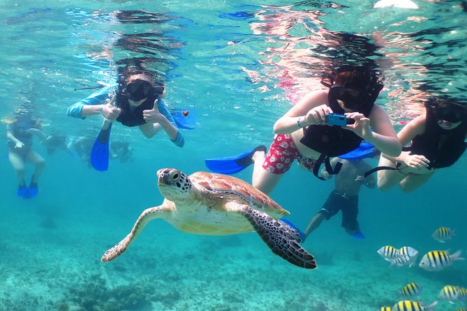 Cenote and Sea Snorkeling Adventure  - Playa Del Carmen - Transportation and Booking Confirmation