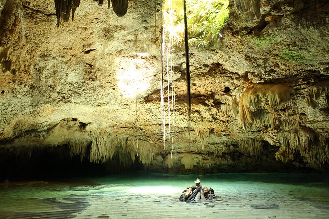 Cenote and Sea Snorkeling Adventure  - Playa Del Carmen - Accessibility and Swimming Skills Requirements