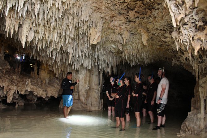 Cenote and Sea Snorkeling Adventure  - Playa Del Carmen - The Sum Up