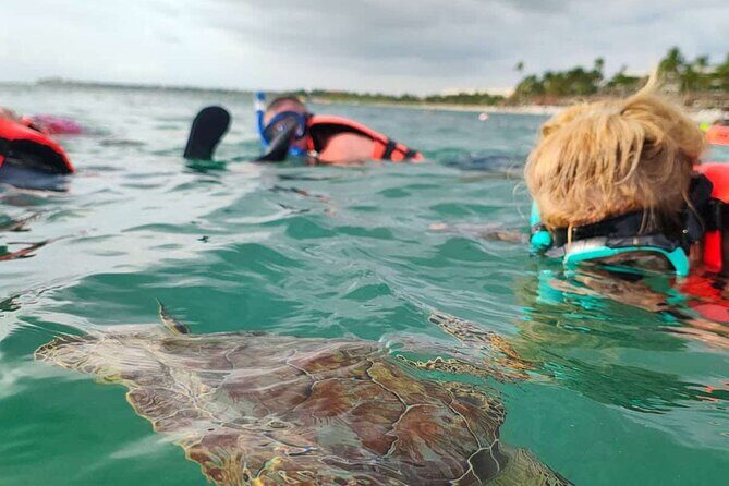 Cenote and Swimming with Turtles Private Tour in Akumal - Snorkeling at Akumal Bay