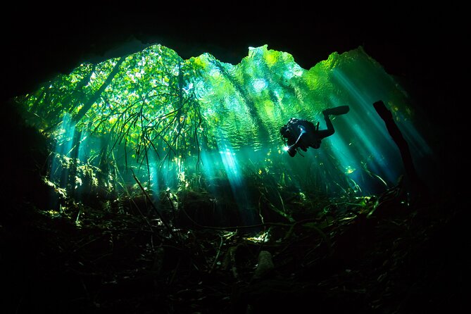 Cenote Diving - 2 Tank Dive Trip for Certified Divers - Trip Details
