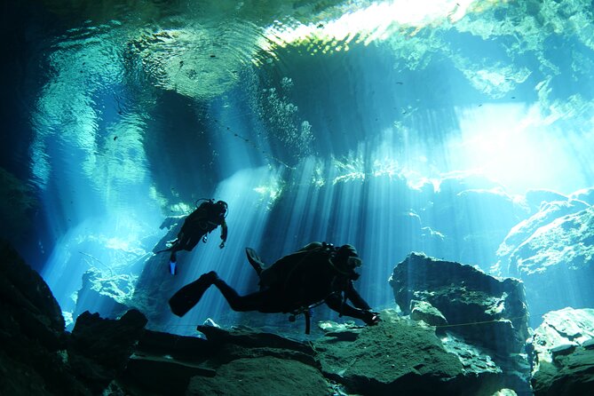 Cenote Diving - 2 Tank Dive Trip for Certified Divers - Inclusions