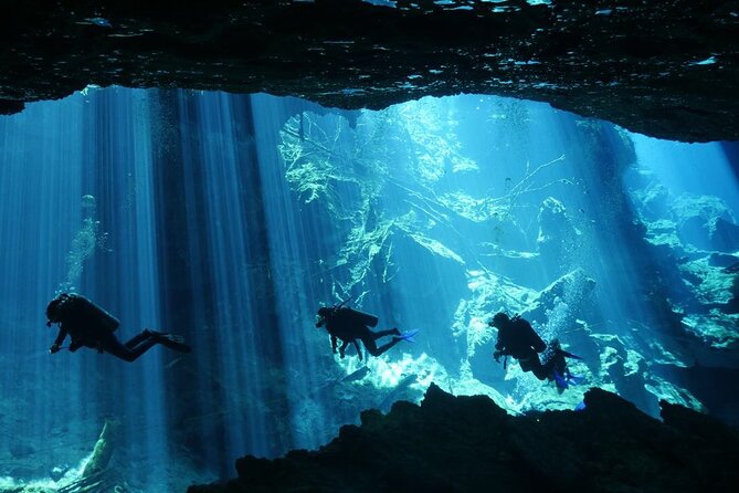 Cenote Diving - 2 Tank Dive Trip for Certified Divers - Important Information