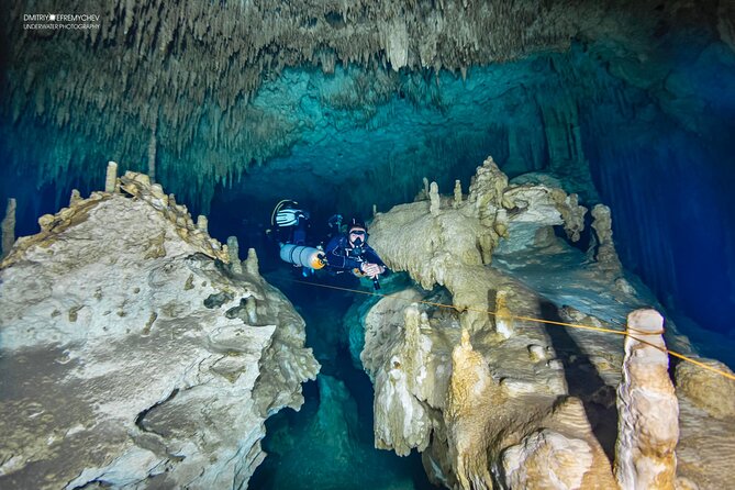 Cenote Diving Dream Gate - Pricing and Availability