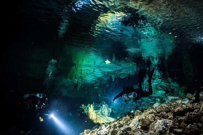 Cenote Diving Experience  - Tulum - Reviews and Price