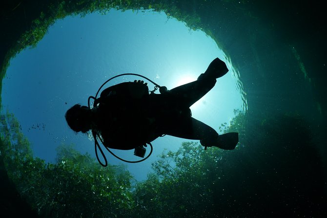 Cenote Diving Experience  - Tulum - Common Questions