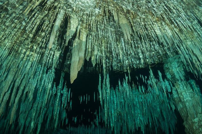 Cenote Diving Experience  - Tulum - The Sum Up