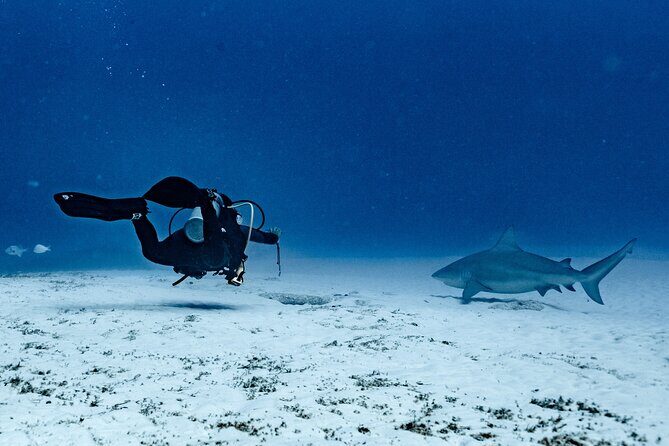 Cenote Diving in Tulum A Thrilling Adventure for Certificates - Good To Know