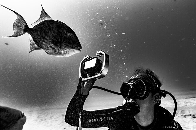 Cenote Diving in Tulum A Thrilling Adventure for Certificates - FAQs