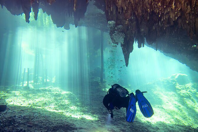 Cenote Dreamgate Guided Scuba Diving - What to Expect During the Dives
