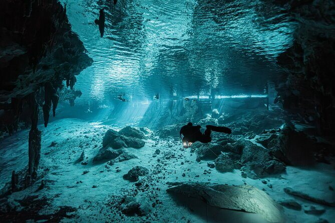 Cenote El Pit and Dos Ojos Dive Trip - Good To Know