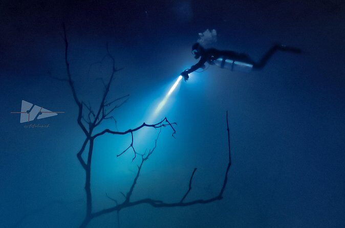 Cenote El Pit and Dos Ojos Dive Trip - An In-Depth Look at the Cenote El Pit and Dos Ojos Dive Trip