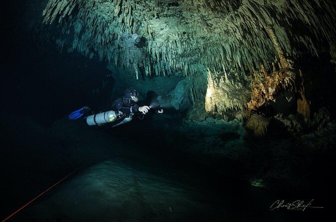 Cenote El Pit and Dos Ojos Dive Trip - The Value of the Experience
