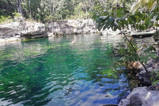 Cenote Express - An In-Depth Look at the Cenote Express Tour