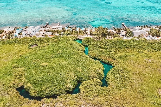 Cenote Paddleboarding and Snorkeling in Tulum - Reviews